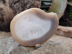 Polished Banded Agate Slices with Natural Edging x 12 From Madagascar - Toprock Gemstones and Minerals 