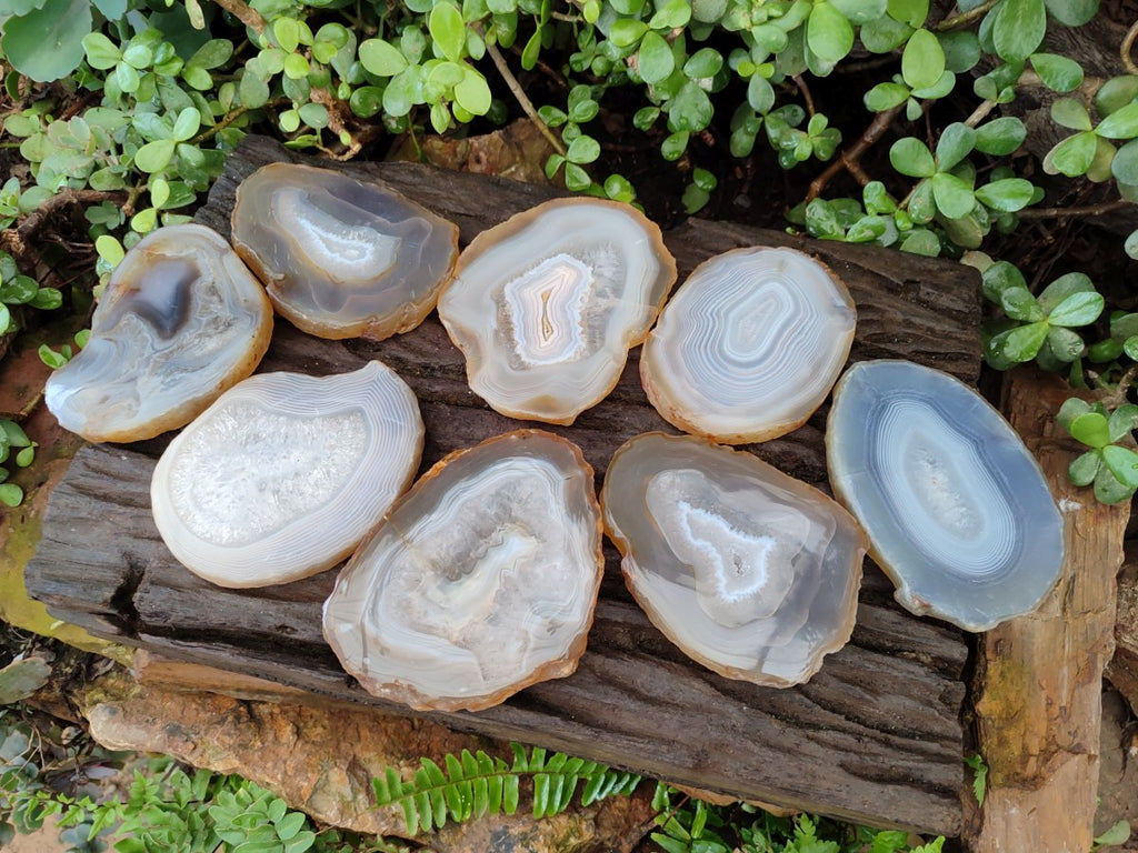 Polished Banded Agate Slices with Natural Edging x 12 From Madagascar - Toprock Gemstones and Minerals 