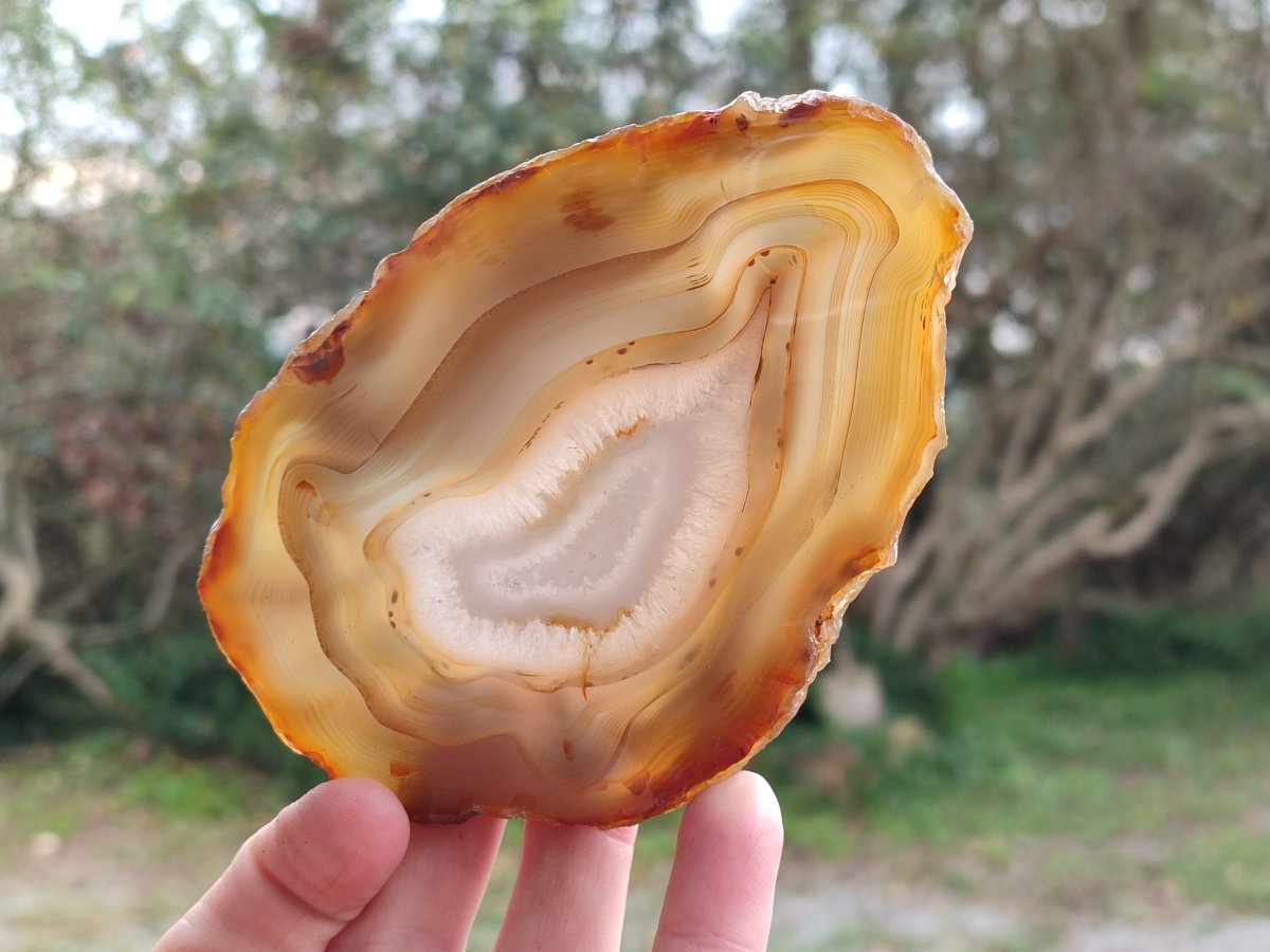 Polished Banded Agate Slices with Natural Edging x 12 From Madagascar - Toprock Gemstones and Minerals 