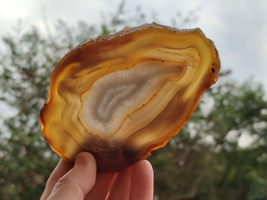 Polished Banded Agate Slices with Natural Edging x 12 From Madagascar - Toprock Gemstones and Minerals 