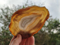 Polished Banded Agate Slices with Natural Edging x 12 From Madagascar - Toprock Gemstones and Minerals 