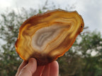 Polished Banded Agate Slices with Natural Edging x 12 From Madagascar - Toprock Gemstones and Minerals 