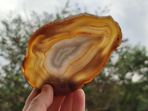 Polished Banded Agate Slices with Natural Edging x 12 From Madagascar - Toprock Gemstones and Minerals 