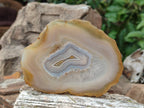 Polished Banded Agate Slices with Natural Edging x 12 From Madagascar - Toprock Gemstones and Minerals 