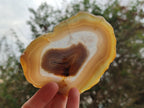Polished Banded Agate Slices with Natural Edging x 12 From Madagascar - Toprock Gemstones and Minerals 