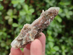 Natural Hematoid Fairy Spirit Quartz Crystals x 35 From Boekenhouthoek, South Africa - Toprock Gemstones and Minerals 