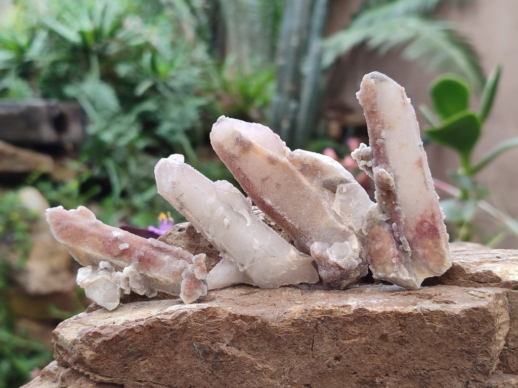 Natural Hematoid Fairy Spirit Quartz Crystals x 35 From Boekenhouthoek, South Africa - Toprock Gemstones and Minerals 