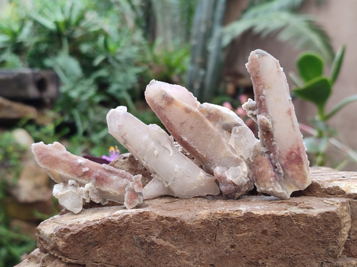 Natural Hematoid Fairy Spirit Quartz Crystals x 35 From Boekenhouthoek, South Africa - Toprock Gemstones and Minerals 