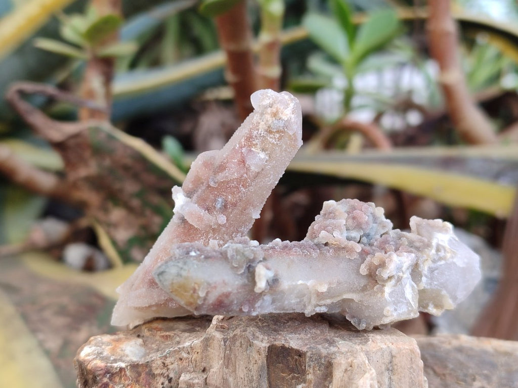 Natural Hematoid Fairy Spirit Quartz Crystals x 35 From Boekenhouthoek, South Africa - Toprock Gemstones and Minerals 