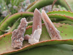 Natural Hematoid Fairy Spirit Quartz Crystals x 35 From Boekenhouthoek, South Africa - Toprock Gemstones and Minerals 