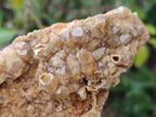 Natural Golden Limonite Quartz Clusters x 12 From Solwezi, Zambia - Toprock Gemstones and Minerals 