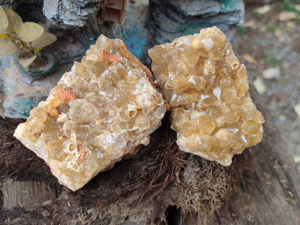 Natural Golden Limonite Quartz Clusters x 12 From Solwezi, Zambia - Toprock Gemstones and Minerals 
