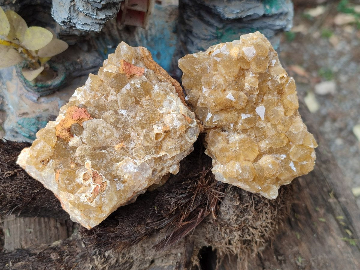 Natural Golden Limonite Quartz Clusters x 12 From Solwezi, Zambia - Toprock Gemstones and Minerals 