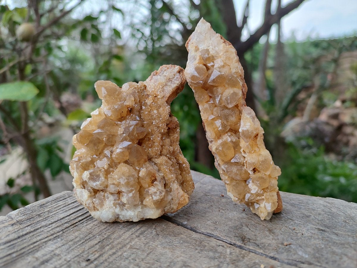 Natural Golden Limonite Quartz Clusters x 12 From Solwezi, Zambia - Toprock Gemstones and Minerals 