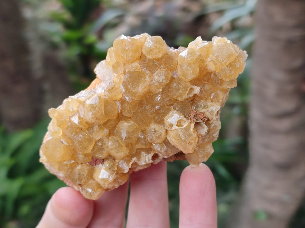 Natural Golden Limonite Quartz Clusters x 12 From Solwezi, Zambia - Toprock Gemstones and Minerals 