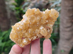 Natural Golden Limonite Quartz Clusters x 12 From Solwezi, Zambia - Toprock Gemstones and Minerals 