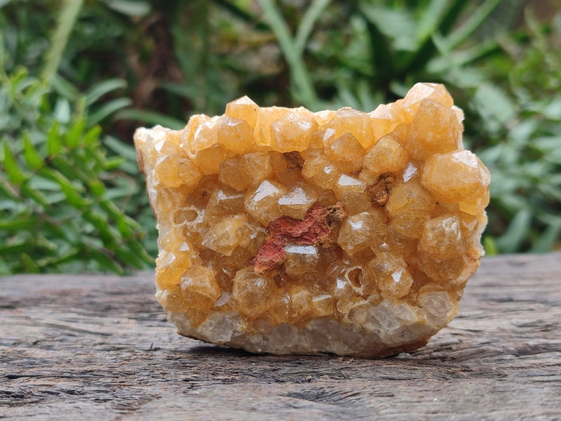 Natural Golden Limonite Quartz Clusters x 12 From Solwezi, Zambia - Toprock Gemstones and Minerals 