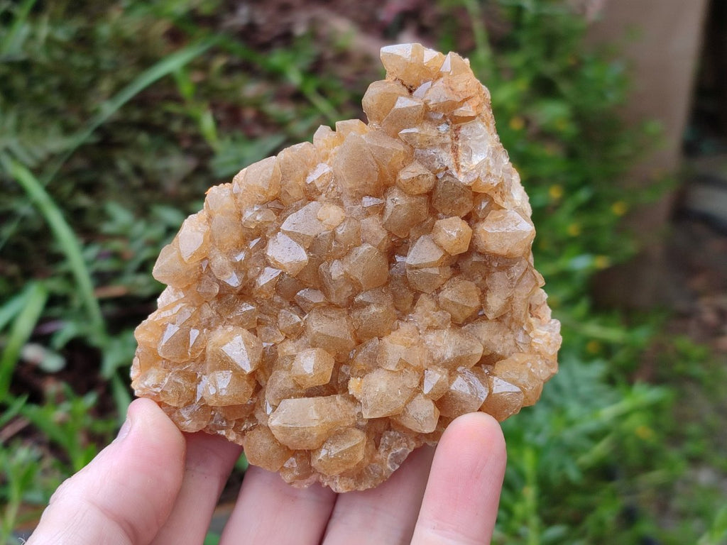 Natural Golden Limonite Quartz Clusters x 12 From Solwezi, Zambia - Toprock Gemstones and Minerals 
