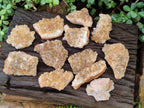 Natural Golden Limonite Quartz Clusters x 12 From Solwezi, Zambia - Toprock Gemstones and Minerals 