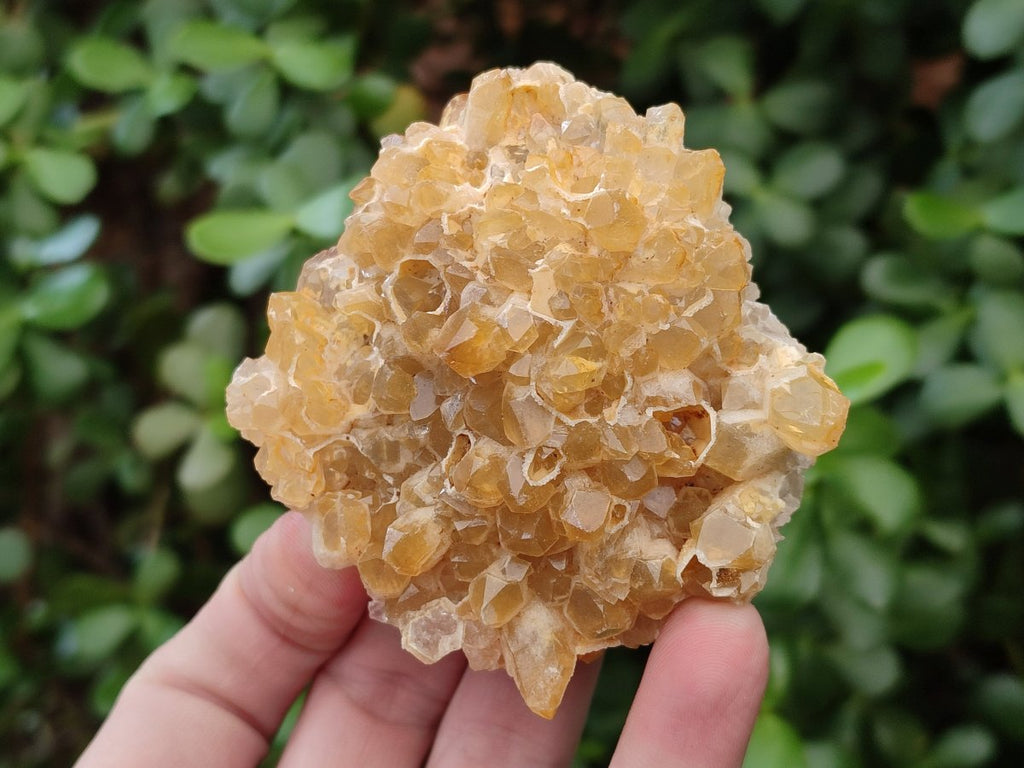Natural Golden Limonite Quartz Clusters x 12 From Solwezi, Zambia - Toprock Gemstones and Minerals 