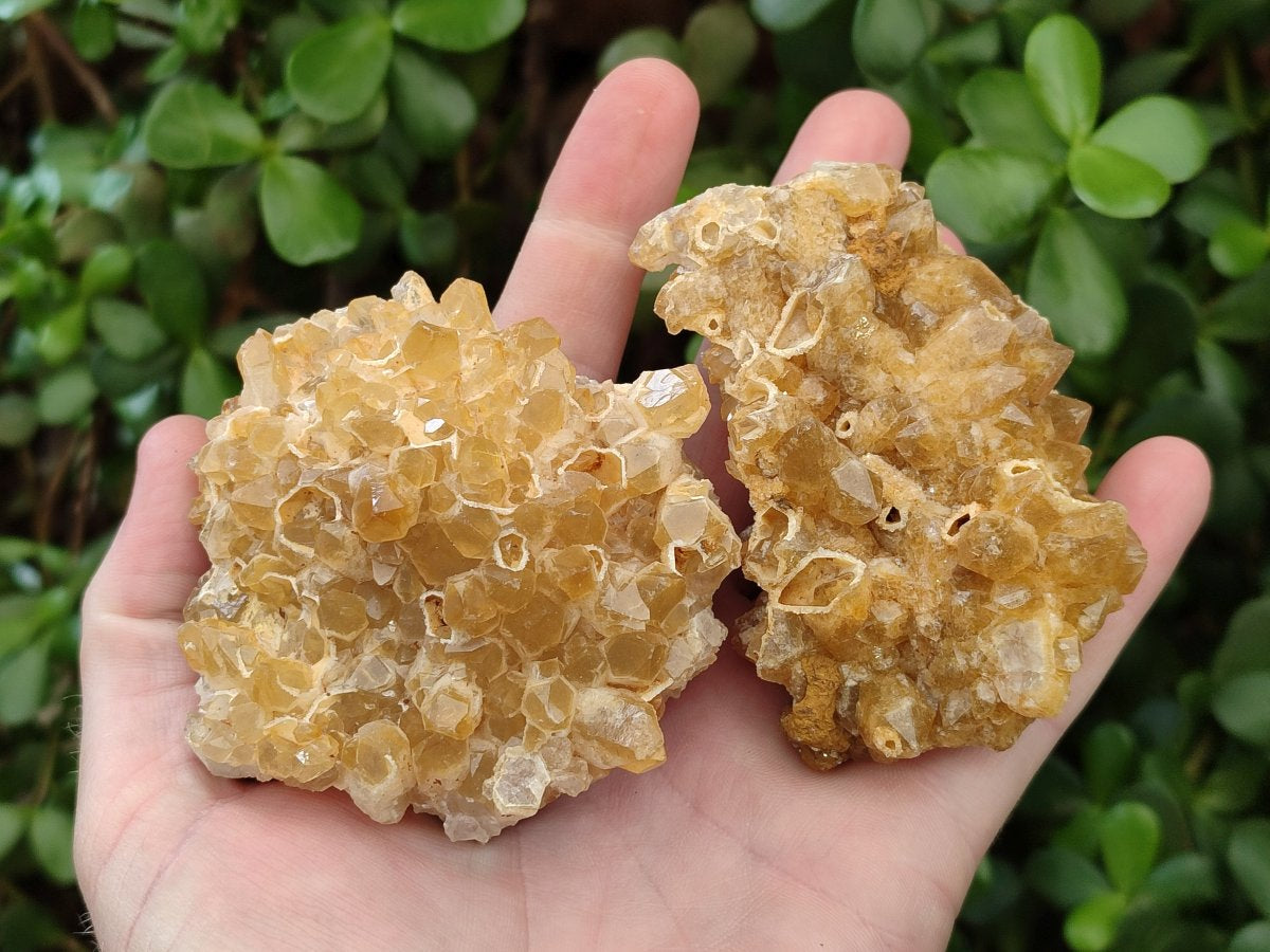 Natural Golden Limonite Quartz Clusters x 12 From Solwezi, Zambia - Toprock Gemstones and Minerals 