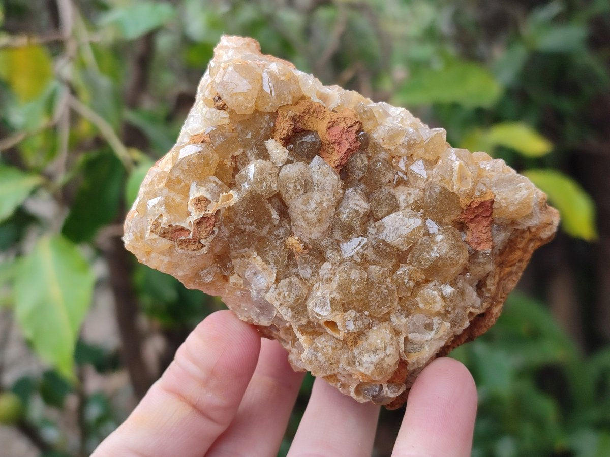 Natural Golden Limonite Quartz Clusters x 12 From Solwezi, Zambia - Toprock Gemstones and Minerals 
