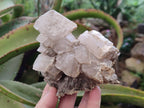 Natural Stacked Rhombohedral Calcite Specimens x 2 From Albert's Mountain, Lesotho - Toprock Gemstones and Minerals 