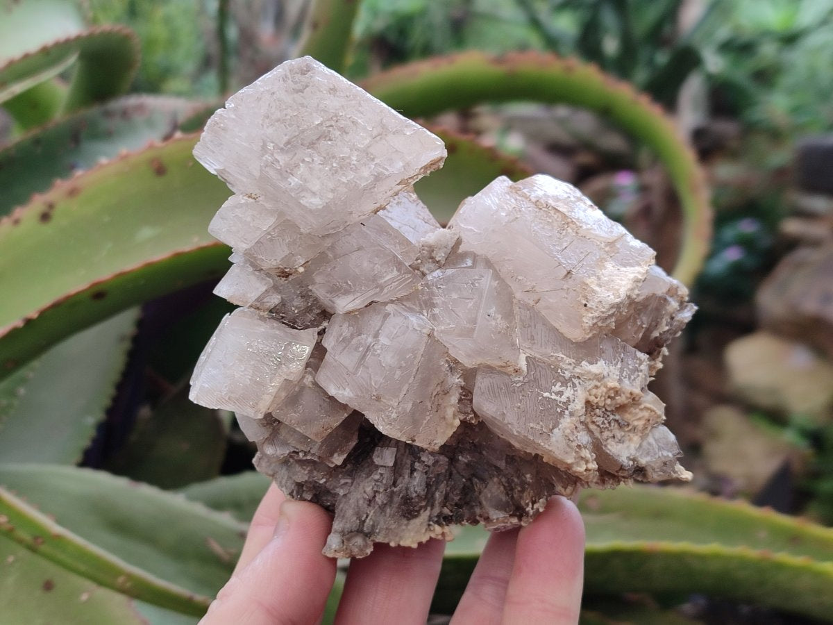 Natural Stacked Rhombohedral Calcite Specimens x 2 From Albert's Mountain, Lesotho - Toprock Gemstones and Minerals 
