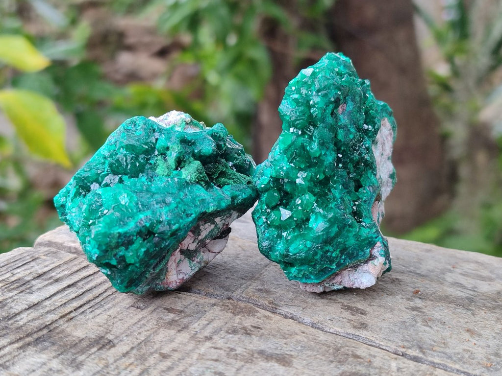 Natural Dioptase on Dolomite Specimens x 6 From Likasi, Congo - Toprock Gemstones and Minerals 