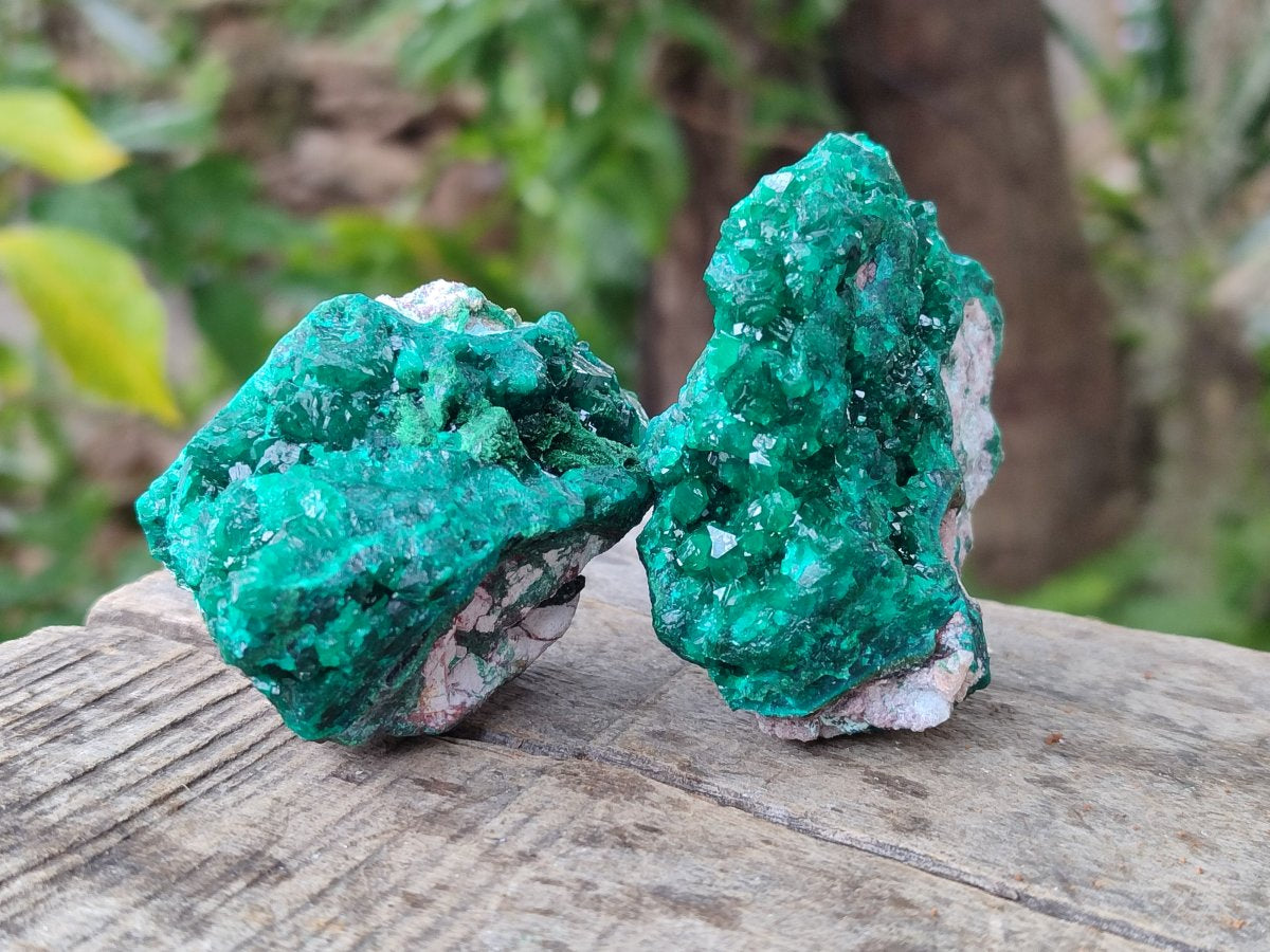 Natural Dioptase on Dolomite Specimens x 6 From Likasi, Congo - Toprock Gemstones and Minerals 