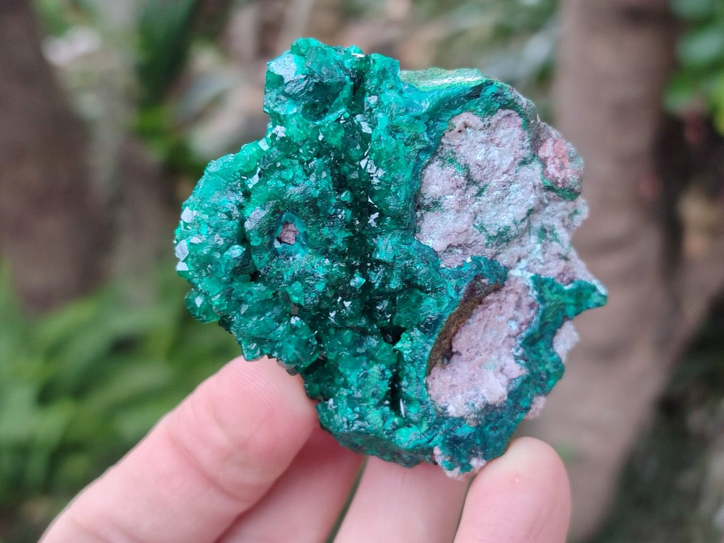 Natural Dioptase on Dolomite Specimens x 6 From Likasi, Congo - Toprock Gemstones and Minerals 