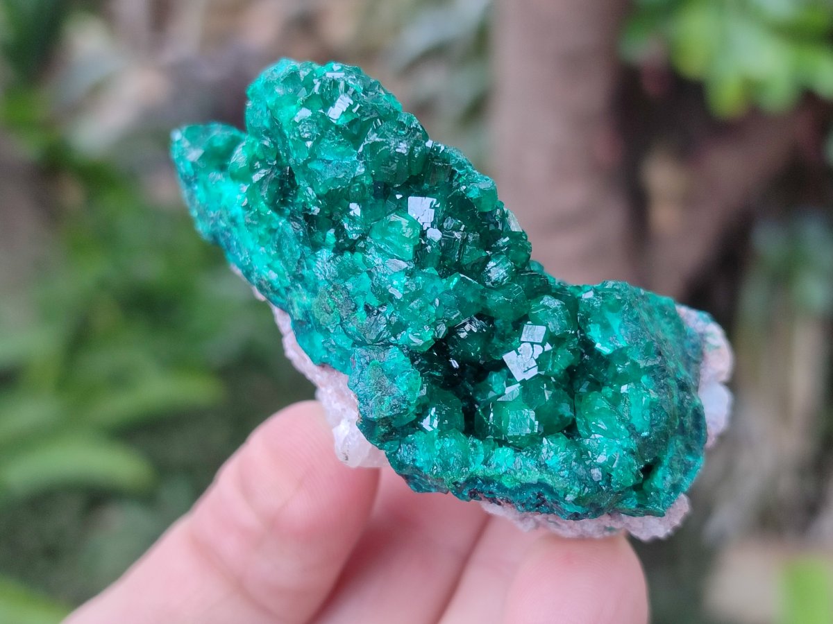Natural Dioptase on Dolomite Specimens x 6 From Likasi, Congo - Toprock Gemstones and Minerals 