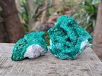 Natural Dioptase on Dolomite Specimens x 6 From Likasi, Congo - Toprock Gemstones and Minerals 