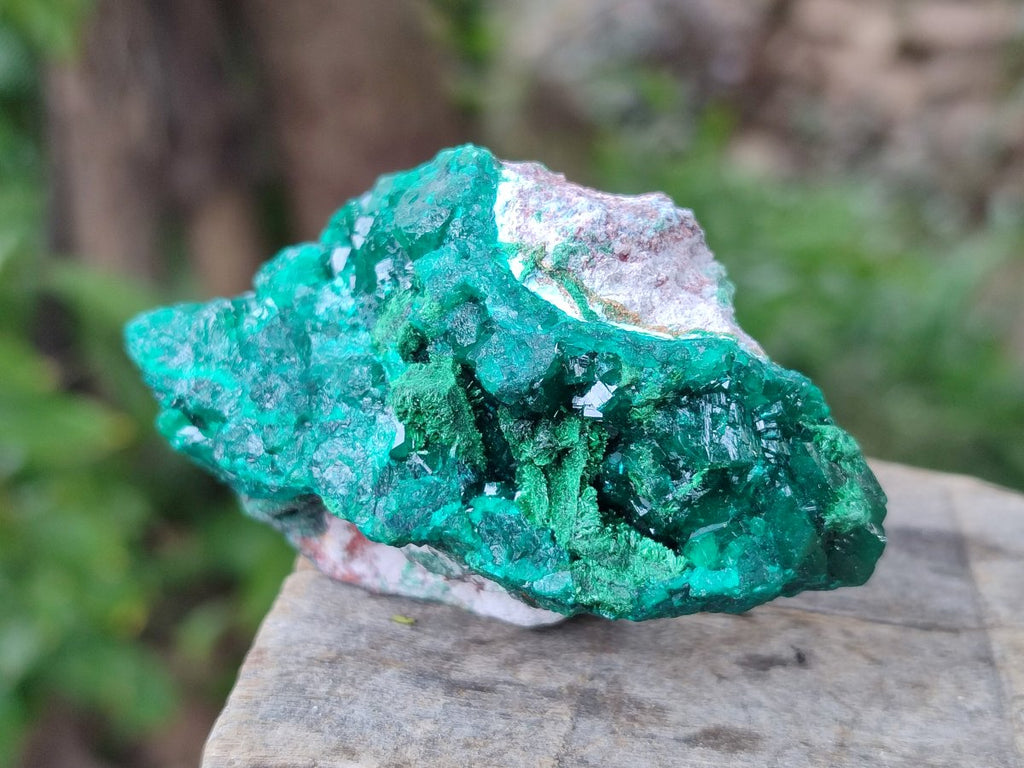 Natural Dioptase on Dolomite Specimens x 6 From Likasi, Congo - Toprock Gemstones and Minerals 
