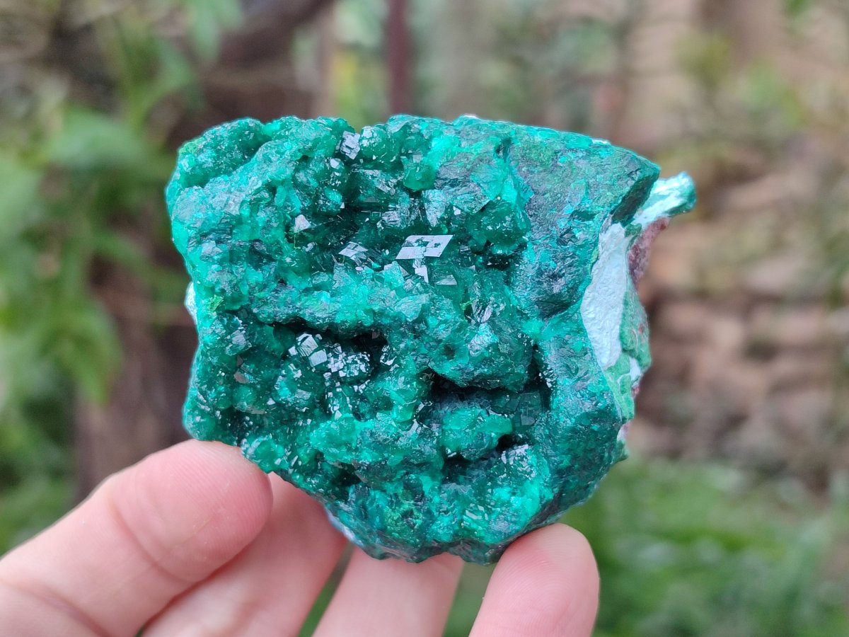Natural Dioptase on Dolomite Specimens x 6 From Likasi, Congo - Toprock Gemstones and Minerals 