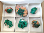 Natural Dioptase on Dolomite Specimens x 6 From Likasi, Congo - Toprock Gemstones and Minerals 