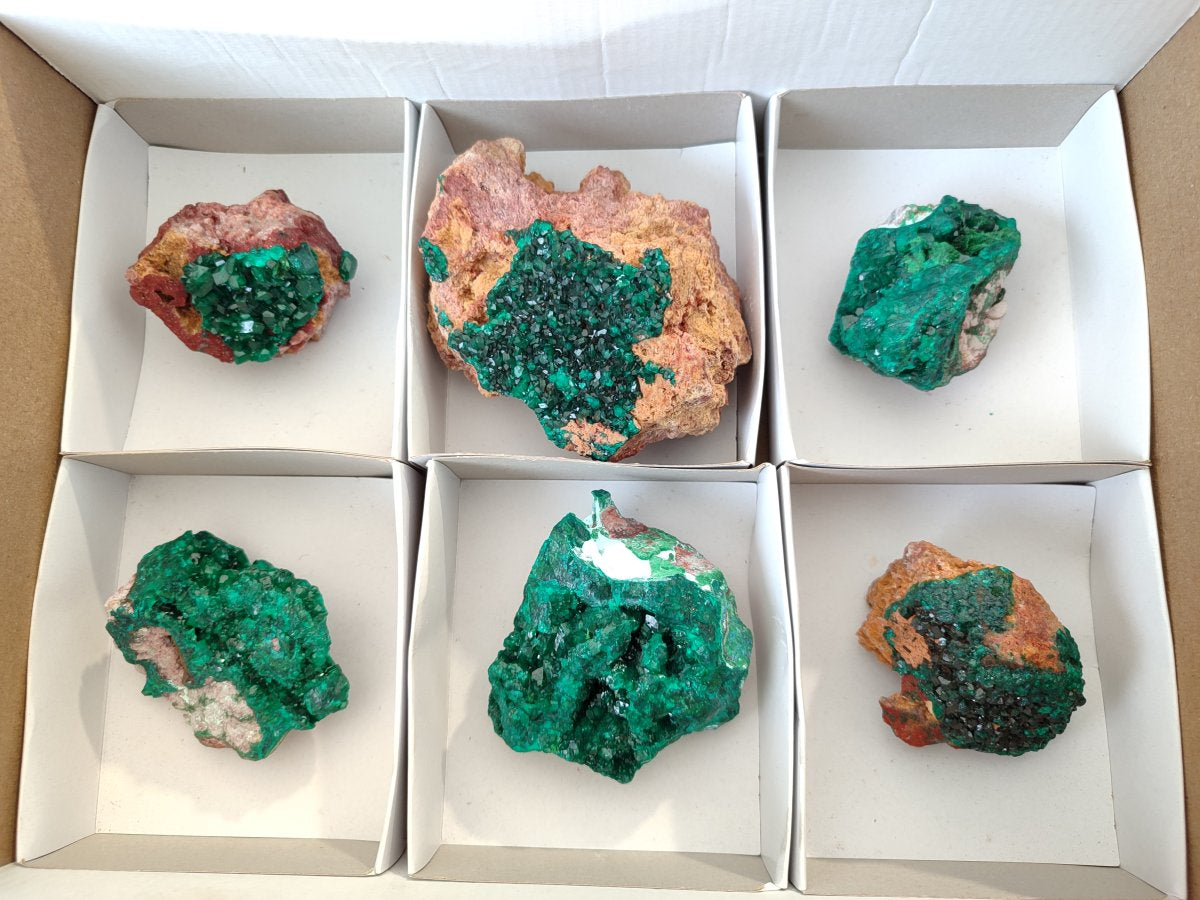 Natural Dioptase on Dolomite Specimens x 6 From Likasi, Congo - Toprock Gemstones and Minerals 