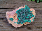 Natural Dioptase on Dolomite Specimens x 6 From Likasi, Congo - Toprock Gemstones and Minerals 