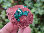 Natural Dioptase on Dolomite Specimens x 6 From Likasi, Congo - Toprock Gemstones and Minerals 