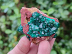 Natural Dioptase on Dolomite Specimens x 6 From Likasi, Congo - Toprock Gemstones and Minerals 