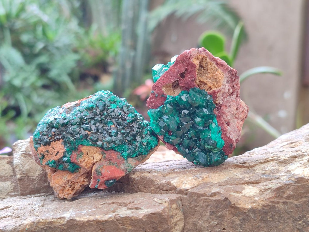 Natural Dioptase on Dolomite Specimens x 6 From Likasi, Congo - Toprock Gemstones and Minerals 