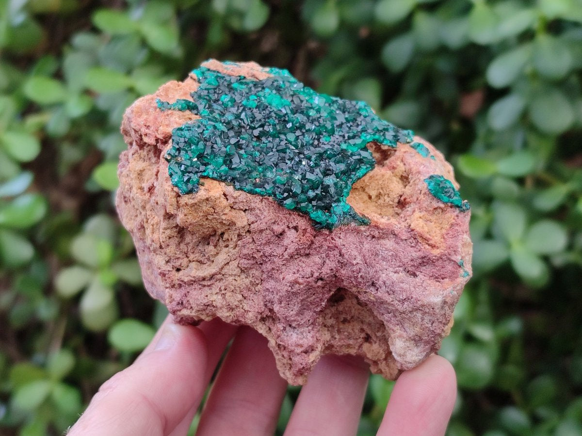 Natural Dioptase on Dolomite Specimens x 6 From Likasi, Congo - Toprock Gemstones and Minerals 