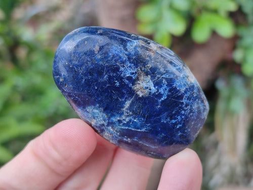 Polished Super Rare Dumortierite Standing Free Forms x 12 From Madagascar - Toprock Gemstones and Minerals 