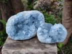 Natural Blue Celestite Geodes x 2 From Sakoany, Madagascar - Toprock Gemstones and Minerals 