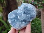 Natural Blue Celestite Geodes x 2 From Sakoany, Madagascar - Toprock Gemstones and Minerals 
