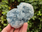 Natural Blue Celestite Geodes x 2 From Sakoany, Madagascar - Toprock Gemstones and Minerals 