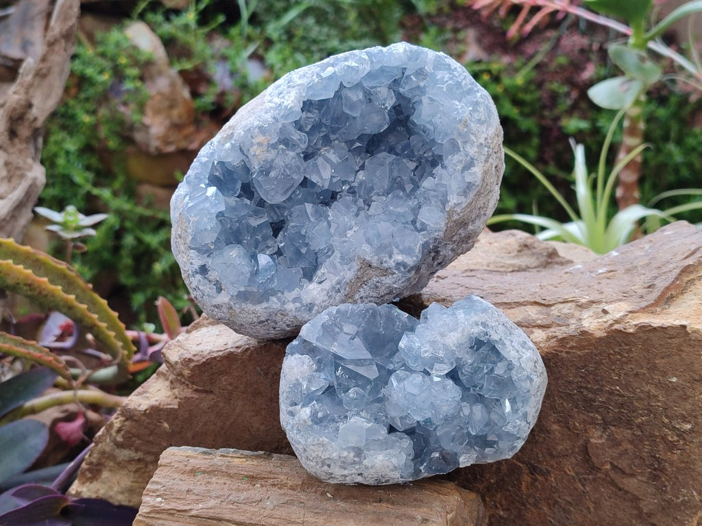 Natural Blue Celestite Geodes x 2 From Sakoany, Madagascar - Toprock Gemstones and Minerals 