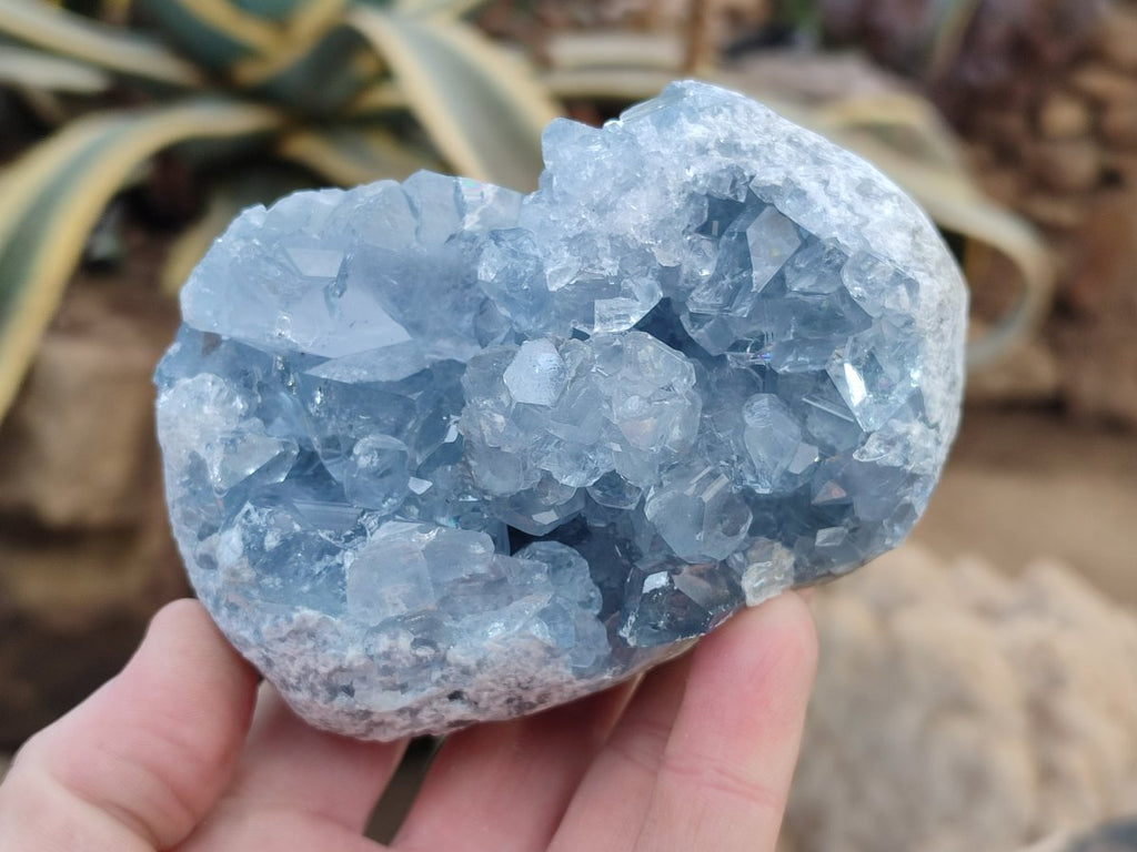 Natural Blue Celestite Geodes x 2 From Sakoany, Madagascar - Toprock Gemstones and Minerals 