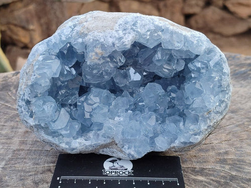 Natural Blue Celestite Geodes x 2 From Sakoany, Madagascar - Toprock Gemstones and Minerals 