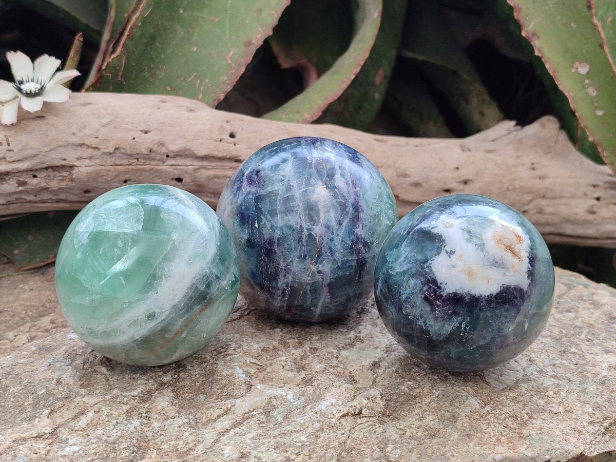 Polished Watermelon Fluorite Spheres x 3 From Uis, Namibia - Toprock Gemstones and Minerals 